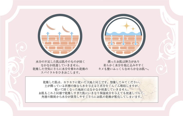 きめ細かな泡のひみつ