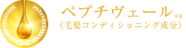  ペプチヴェール※6《毛髪コンディショニング成分》